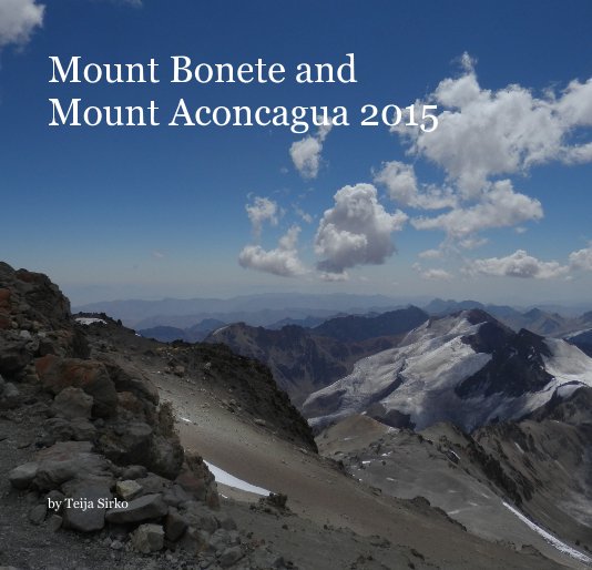 View Mount Bonete and Mount Aconcagua 2015 by Teija Sirko