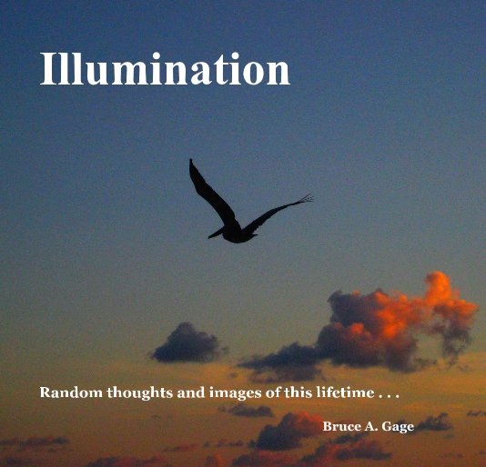 View Illumination by Bruce A. Gage