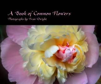 A Book of Common Flowers book cover