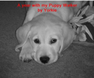 A year with my Puppy Walker by Yorkie book cover