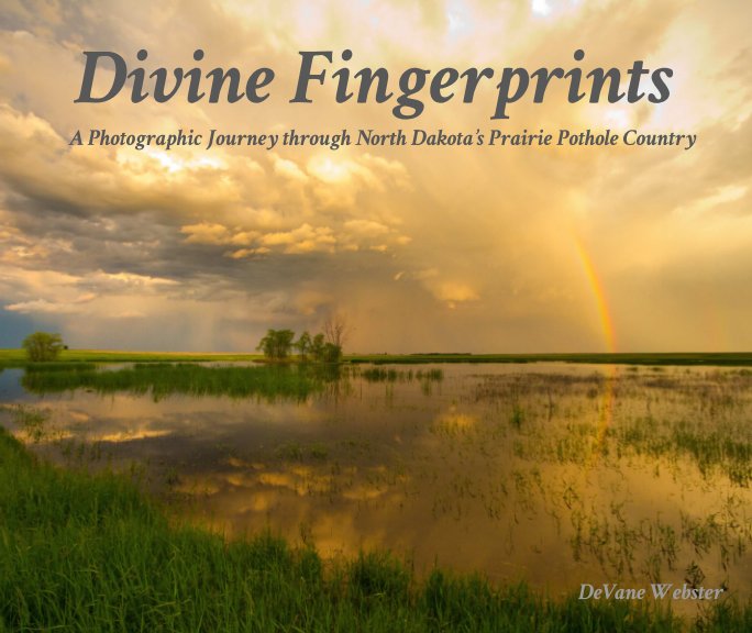Visualizza Divine Fingerprints di DeVane Webster