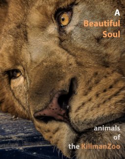 A Beautiful Soul book cover