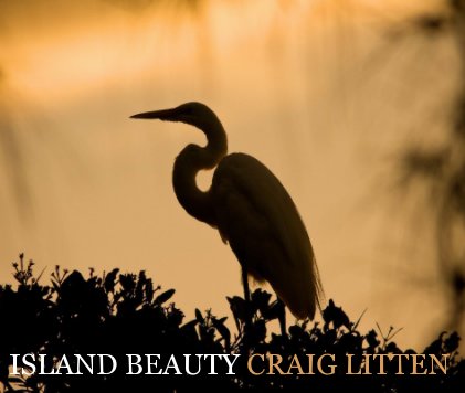 Island Beauty book cover