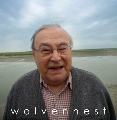wolvennest book cover
