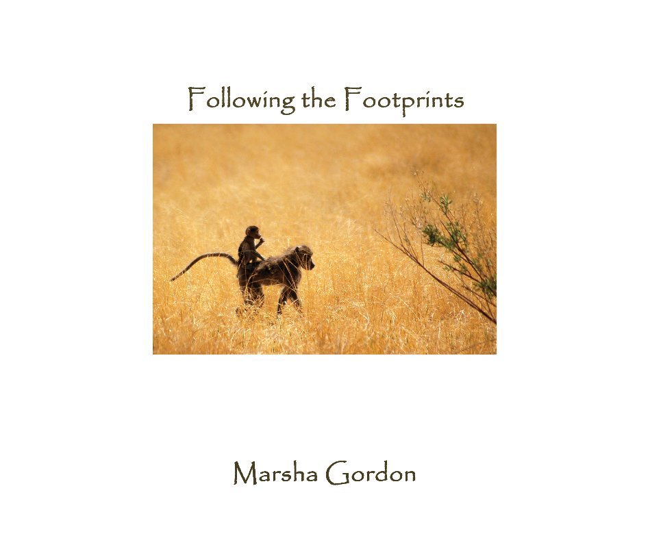 View Following the Footprints by Marsha Gordon