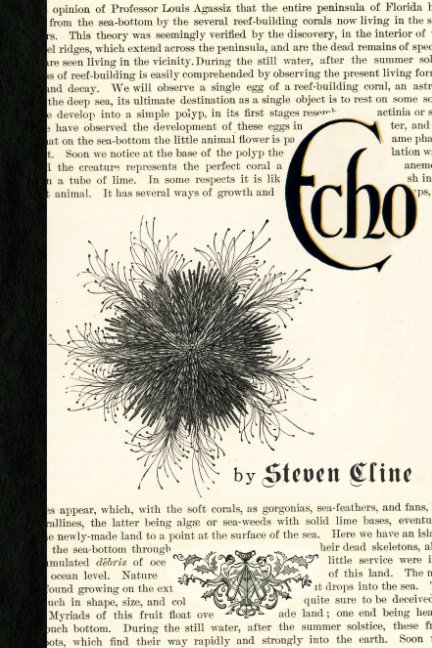 Bekijk Echo op Steven Cline