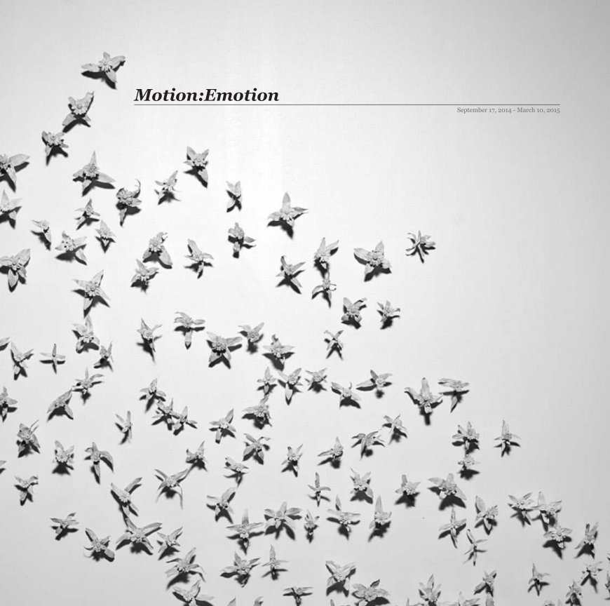 View Motion:Emotion by Assemblage