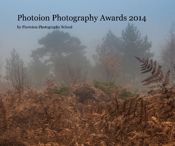 View Photoion Photography Awards 2014 by Photoion Photography School