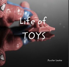 Life of TOYS book cover