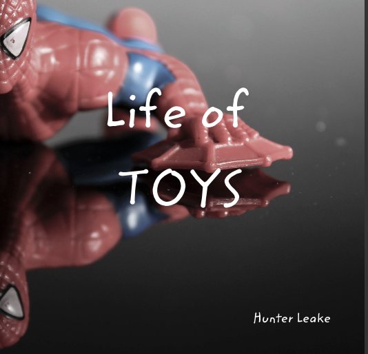 View Life of TOYS by Hunter Leake