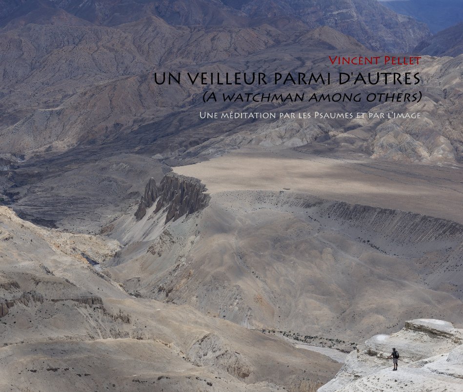View UN VEILLEUR PARMI D'AUTRES (A watchman among others) by Vincent Pellet