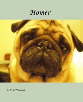 Homer book cover