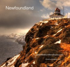 Newfoundland book cover