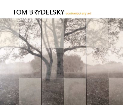 TOM BRYDELSKY contemporary art book cover