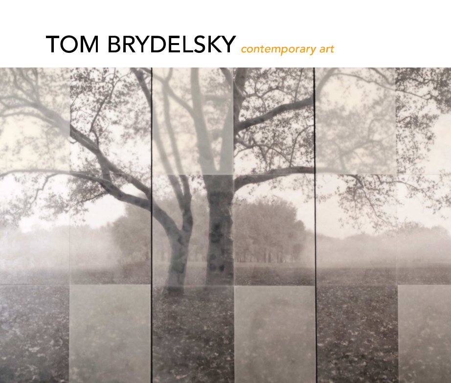 View TOM BRYDELSKY contemporary art by Tom Brydelsky