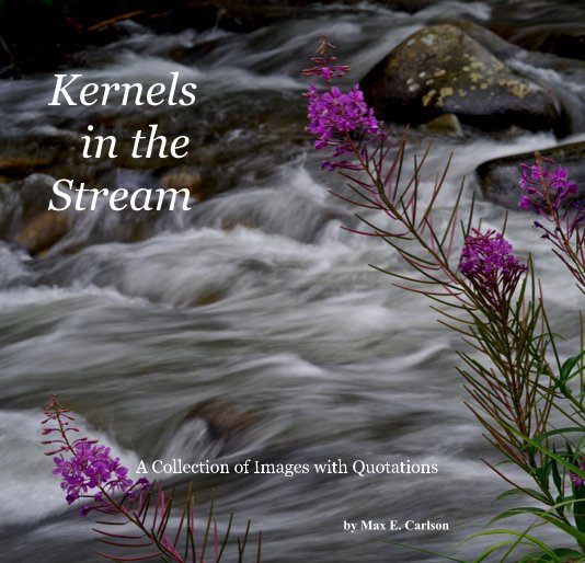 View Kernels in the Stream by Max E. Carlson