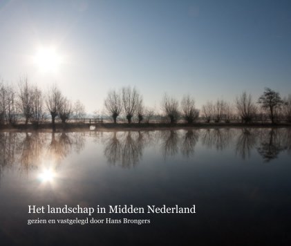 Het landschap in Midden Nederland book cover