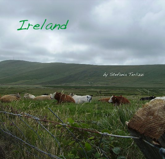 View Ireland by Stefania Terlizzi