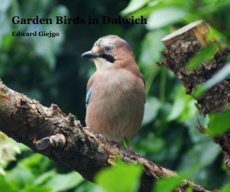 Garden Birds in Dulwich book cover