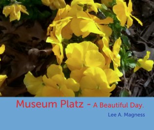 Museum Platz - A Beautiful Day. book cover