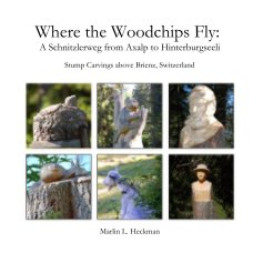 Where the Woodchips Fly: A Schnitzlerweg from Axalp to Hinterburgseeli book cover