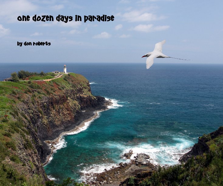 View One Dozen Days in Paradise by Don Roberts