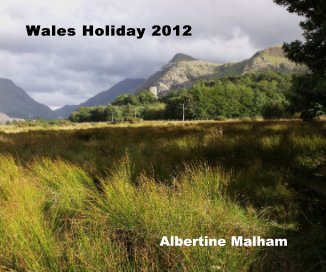Wales Holiday 2012 book cover