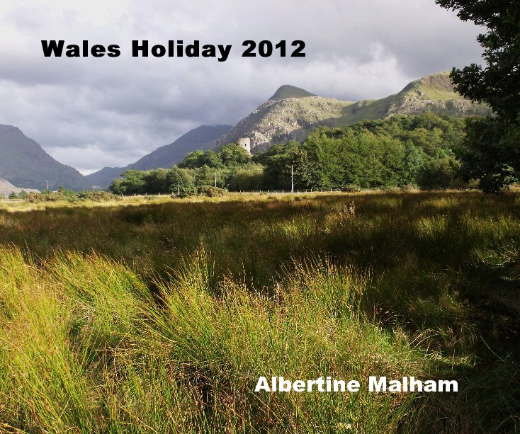 Bekijk Wales Holiday 2012 op Albertine Malham