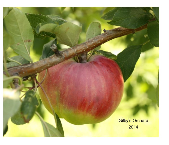 Ver Gilby's Orchard 2014 por Cheryl Volkman Knight