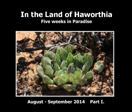 In the Land of Haworthia - Five weeks in Paradise book cover