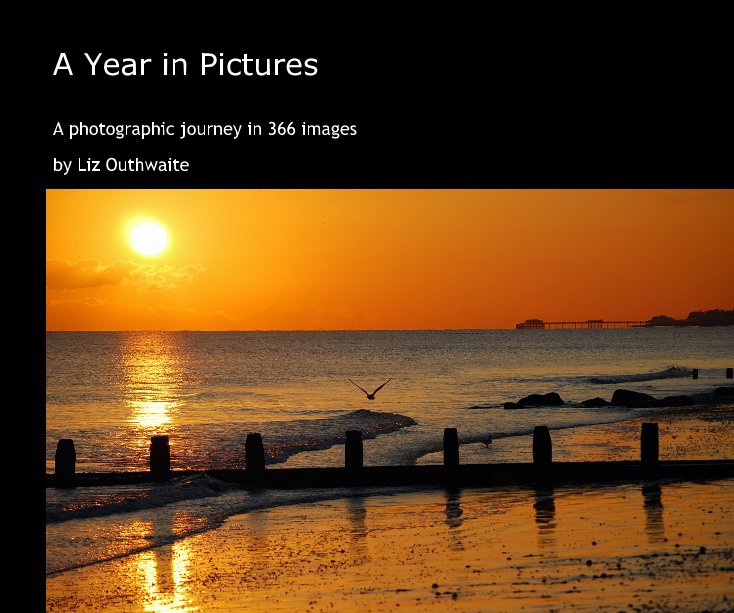 View A Year in Pictures by Liz Outhwaite