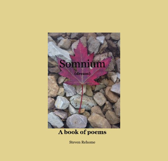 View Somnium (dream) by Steven Rehome
