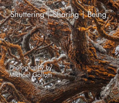Shuttering / Sharing / Being book cover