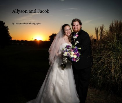 Allyson and Jacob book cover