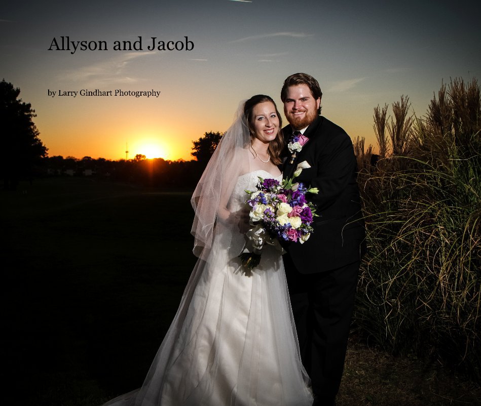 View Allyson and Jacob by Larry Gindhart Photography