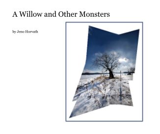 A Willow and Other Monsters book cover