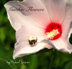 Garden Flowers book cover