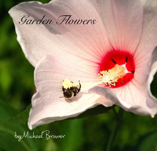 View Garden Flowers by Michael Brower