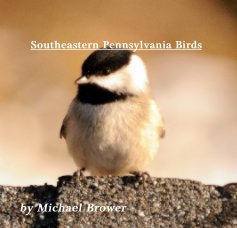 Southeastern Pennsylvania Birds book cover