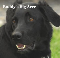 Buddy's Big Acre book cover