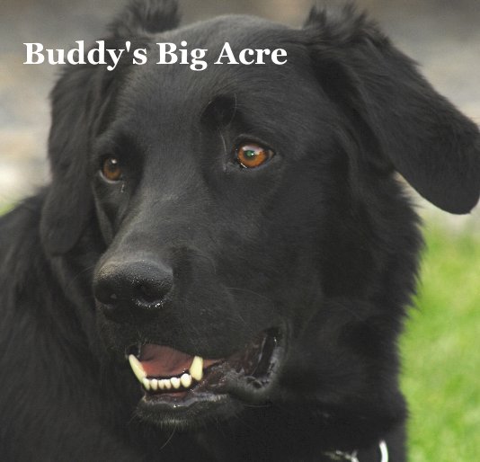View Buddy's Big Acre by Original Story by Wanda Brown adapted by Karleen Gansberg