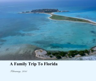 A Family Trip To Florida book cover