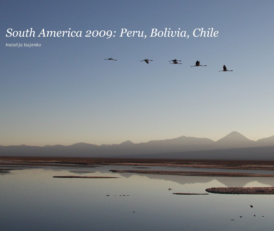 View South America 2009: Peru, Bolivia, Chile by Natalija Isajenko