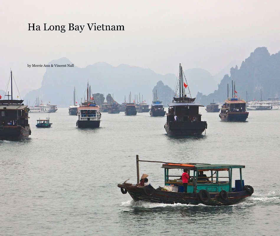 Visualizza Ha Long Bay Vietnam di Merrie Ann & Vincent Nall