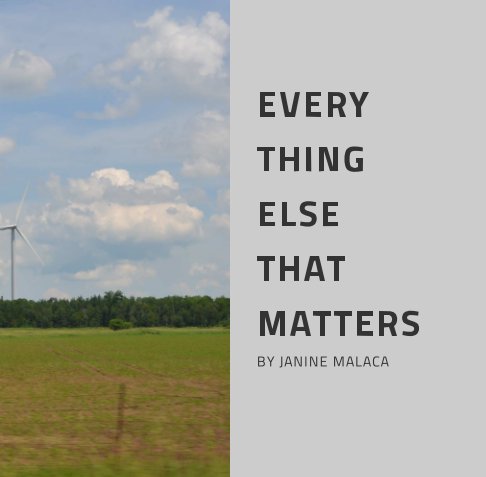 Visualizza EVERY THING ELSE THAT MATTERS di JANINE MALACA