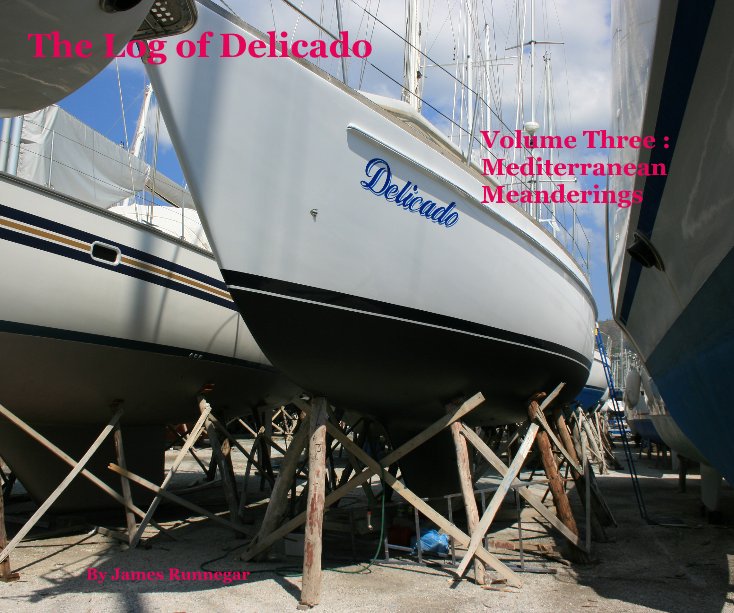 View The Log of Delicado by James Runnegar