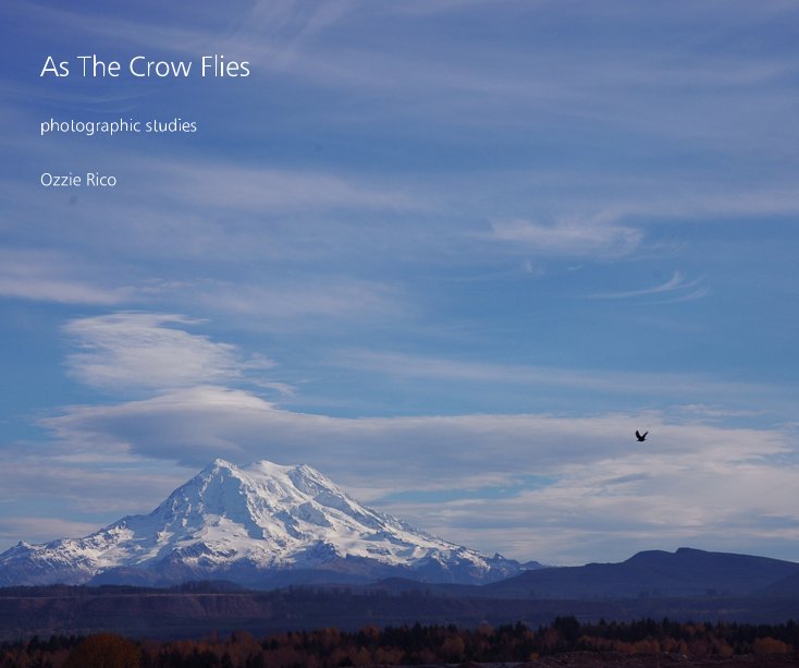 View As The Crow Flies by Ozzie Rico