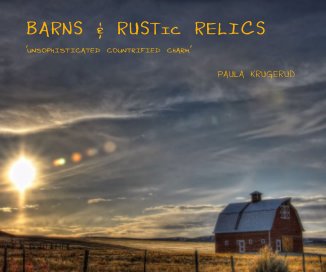 BARNS & RUSTic RELICS book cover