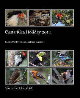 Costa Rica Holiday 2014 book cover