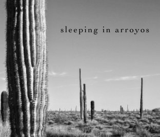 sleeping in arroyos (winter 2015) book cover
